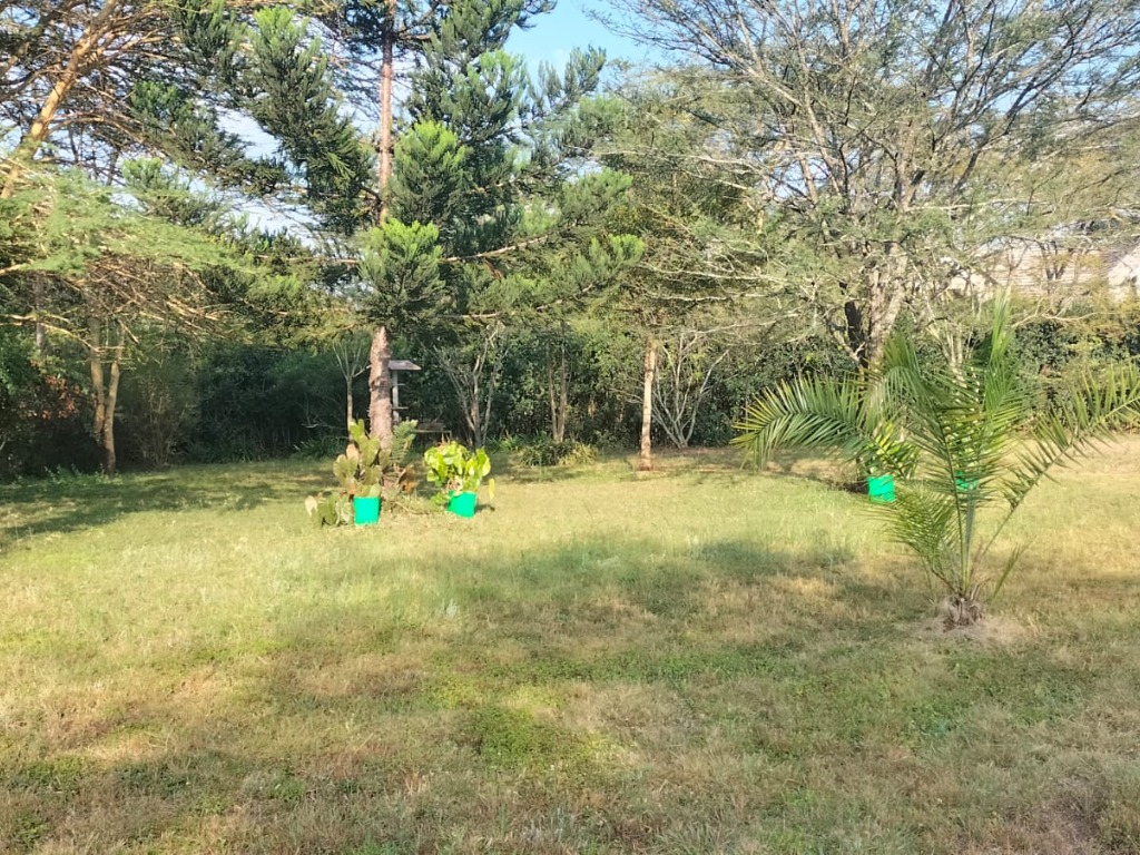 3 Bedrooms Bungalow For Sale In Karen