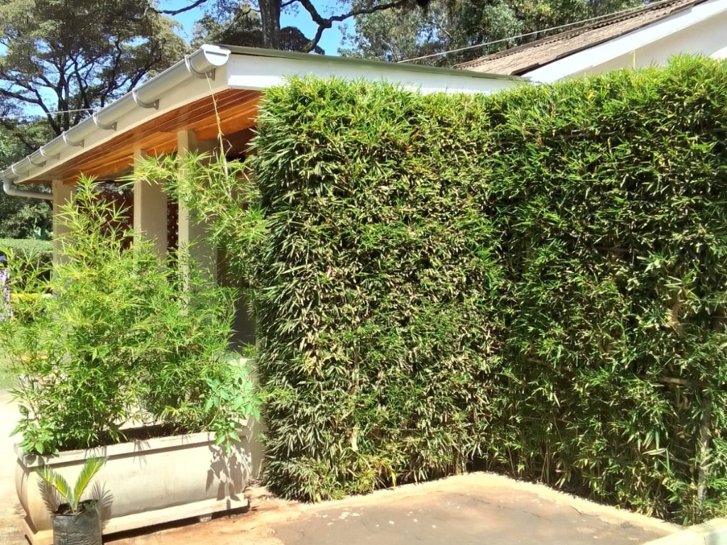 1 Bedroom Apartment For Sale In Karen